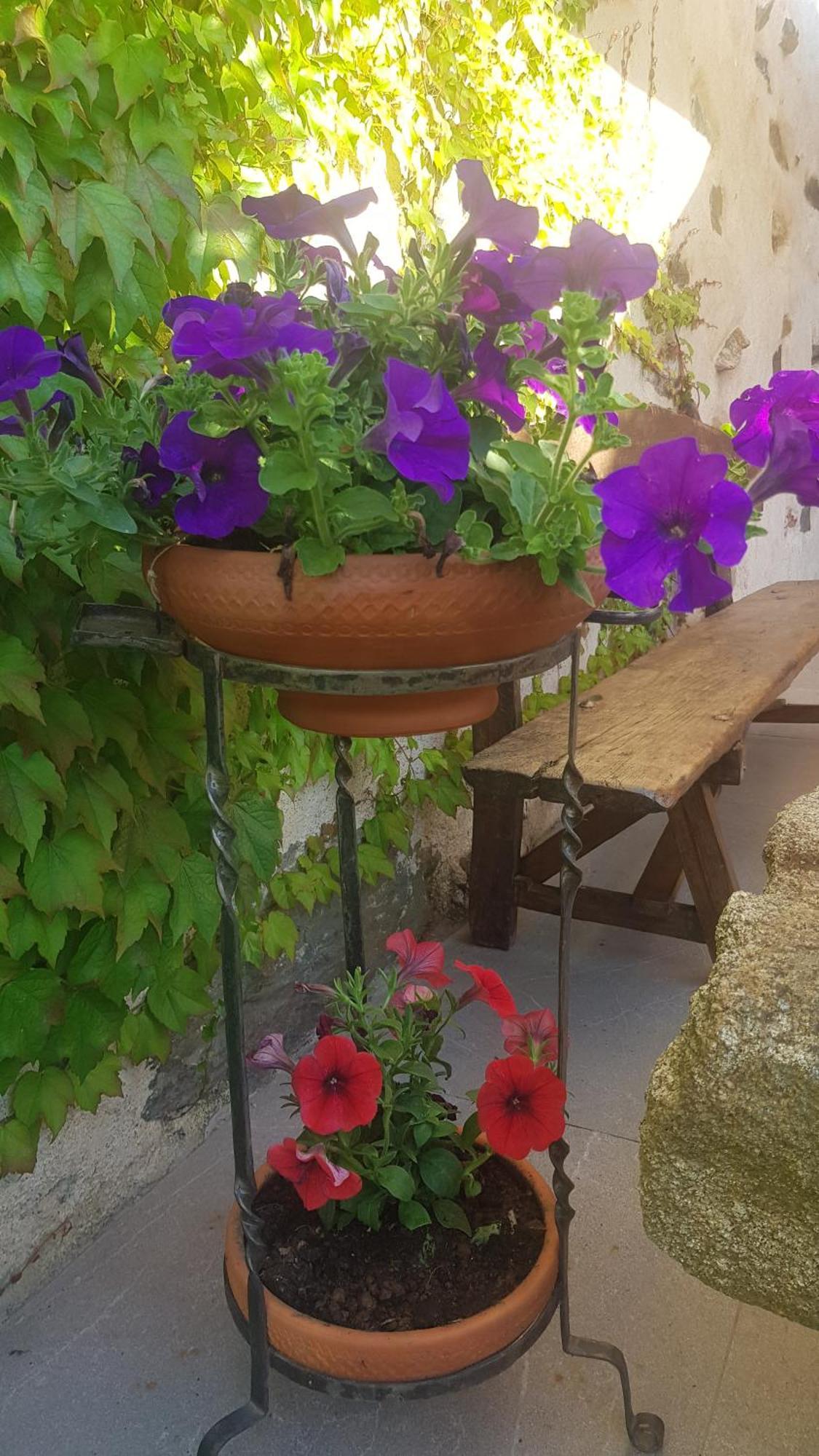 Casa Rural Rincon El Cabaco ภายนอก รูปภาพ